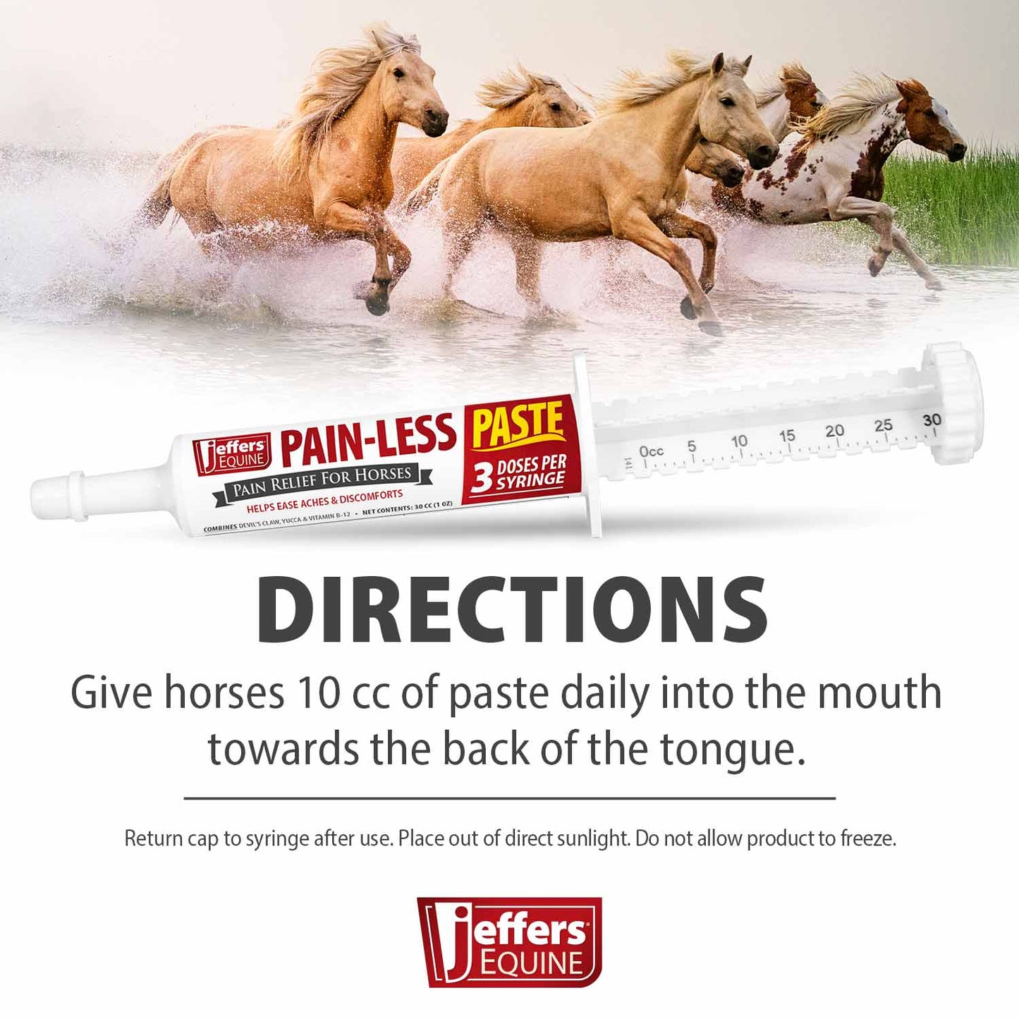 Pain-Less Pain Relief Paste for Horses