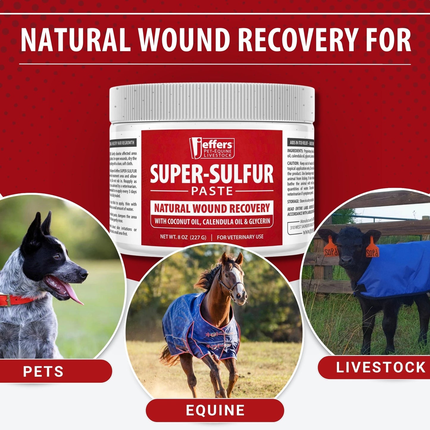 Super-Sulfur Skin & Wound Healing Paste for Pets, Horses, & Livestock